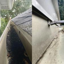 Expert-Gutter-Cleaning-in-Doctor-Phillips-FL 1